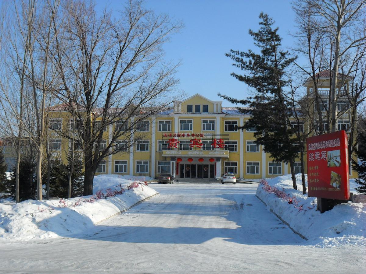 Yabuli National Forest Park Hotel Shangzhi エクステリア 写真